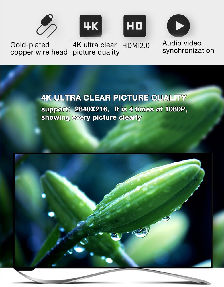 hỗ trợ độ phân giải lên đến 4K x 2K, 1080P, 1080i và hình ảnh 3D mượt mà